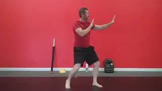 Kids Ninja Training at Home Beginner Level 2 Learn and Practice Ninja Moves, Obstacle and Games