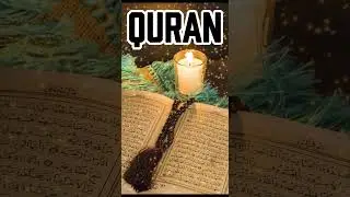 Quran with Urdu Translation | Learn Quran Online
