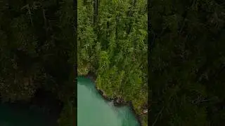🎥 DJI Avata FPV flight over Deception Pass shoreline | Winter cinematic between Whidbey & Fidalgo