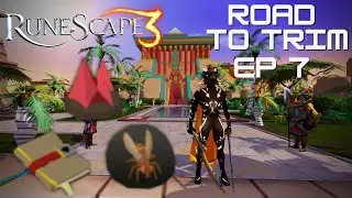 Road to Trim (ep 7) - I got the SANDY title in 72 HOURS