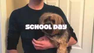 iDress