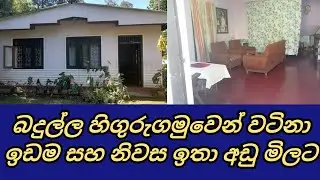 Badulla Land Sale|Badulla House Sale|බණ්ඩාරවෙල ඉඩම් විකිණීම|බදුල්ල ඉඩම් විකිණීම|CSB Property Sale