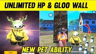New Kactus Pet Ability Test ! Ff New Pet Ability ! Kactus Pet Ability Test ! Kactus Pet Skills Test