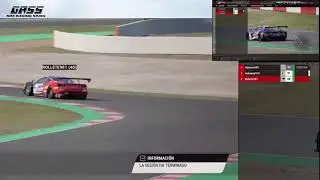 Varekhai's Virtual Racing Cat Live Stream