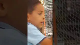 macera koprüsü