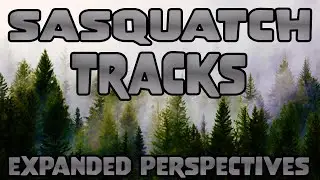 SASQUATCH TRACKS