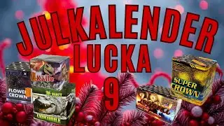 LUCKA 9