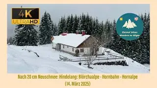 Hindelang nach Neuschnee: Bl&ouml;rchaalpe - Hornbahn - Hornalpe (14. M&auml;rz 2025)