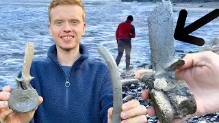 Crocodile, Plesiosaur Fossils: 3 DAY Outdoor Fossil HUNT! | Fossil Hunter