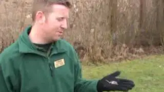 Gerrys Pygmy Shrew Talk
