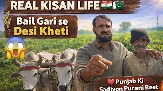 🇮🇳🇵🇰 Real Kisan Life Vlog | 🌾 Traditional Desi Kheti with Bail Gari | Very Old Culture Punjab