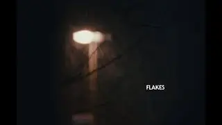 Flakes