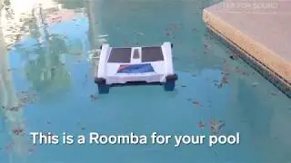 NX2 Floating Pool Skimmer Featured by Insider