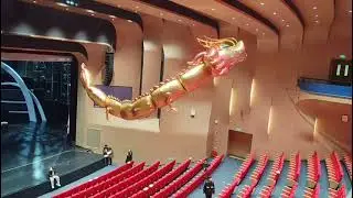 Aluminum Film Remote Control Flying Dragon Live Rehearsal