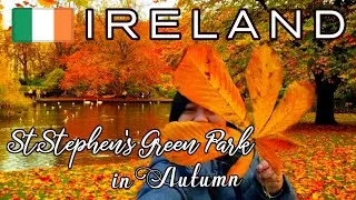 IRELAND Vlog 🇮🇪  Walking around St.Stephen's Green Park, Dublin in Autumn 🍁🍂🍃
