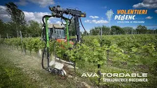 Spollonatrice meccanica AVA TORDABLE 6CC su TMI