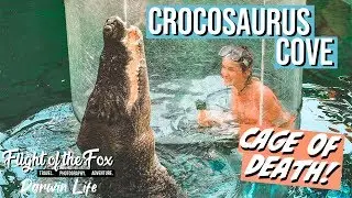Crocosaurus Cove | CAGE OF DEATH 🐊 Best things to do in Darwin! | Episode 38 - Darwin Life
