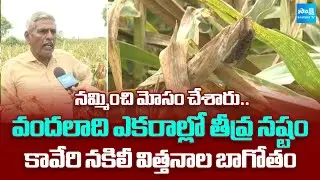 Khammam Farmers Duped by Fake Kaveri 853 Corn Seeds |  Kaveri Fake Seeds Scam | @SakshiTV