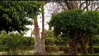 منظر رائع وهدوء نفسي بإحدى حدائق الرباط