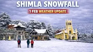 Shimla Snowfall ❄️ | 1 Feb Weather Update #shimla #snowfall #himachalweather #himachal #weatheralert