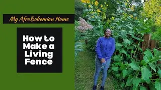 How to Make A Living Fence Line | Butterfly Garden | Cup Plants