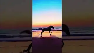 Best TikTok #fantasy #horse #raiponce #viral #running #edit #viraltiktok #editor