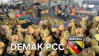 KUCHING BANJIR DURIAN🎯LELONG LELONG GAIS‼️