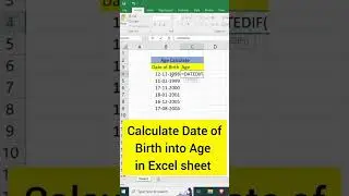 Calculate Date of Birth into Age in Excel sheet #excel #exceltutorial #trending #shorts
