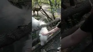 отдыхаем в парке
