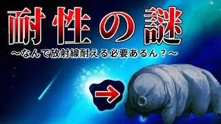 【クマムシ】なぜ必要なさそうな放射線耐性なんて獲得したのか