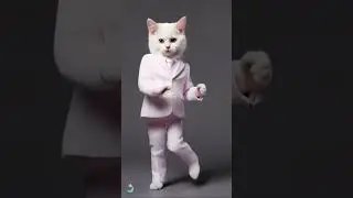 #rajavinpaarvai by cat   #rajavinpaarvai  #catsofinstagram #cats #catfeatures #cat #catmeme #cats_of