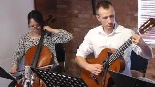 Willer Music - Guitar, Cello and Flute Trio