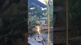 The Jungle Cruise At Disneyland