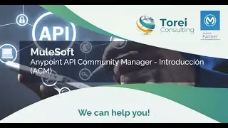 MuleSoft: Anypoint API Community Manager - Parte 1
