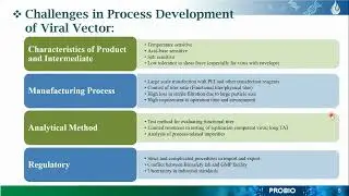 Lentivirus vector manufacturing using suspension cell line