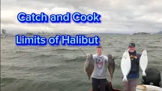 Catching Limits of Halibut in the San Francisco Bay
