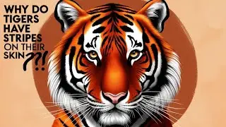 Why Do Tigers Have Stripes on Their Skin? The Science Behind Their Camouflage #TigerSkinStripes