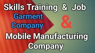 Skills development training / Job@WorkForStudents