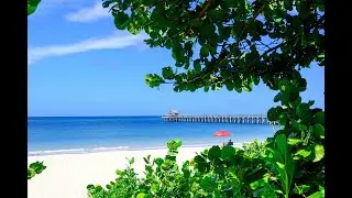Find the Perfect Home or Condo in Naples, Florida!