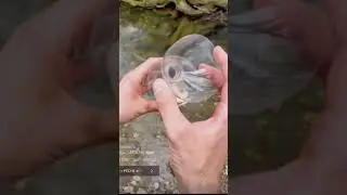 fabriquer un pi&egrave;ge &agrave; poisson 🐟 #fishing #fishingvideo #fishingtips