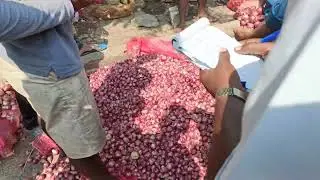 auction in mysore red onion 22 to 40 rate...