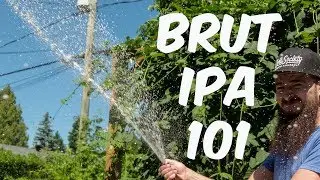 What's a Brut IPA?