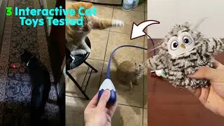 2 Robotic Cat Toys & Cat Laser Collar Tested 🐈 Gadgetify