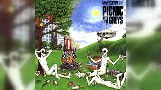 Mad Doctor X - Picnic With The Greys (Trip Hop, Future Jazz, Downtempo) (1997)