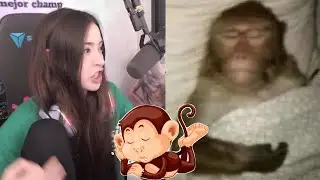 Nissa llora porque Xavi se duerme cuando le habla por Discord
