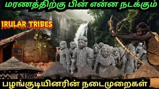 பழங்குடி மக்களின் பழமையான பொருட்களும் இறப்புக்கு பின் நடக்கும் வழிமுறைகளும்|Irular tribes|nilgiris