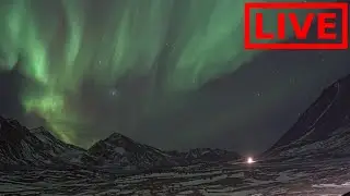 🌎 LIVE Incredible Greenland Auroras Northern Lights!