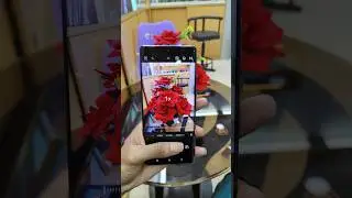 infinix Hot 50pro Plus Camera Test🤘 #shorts #cameratest #infinixhot50proplus #sagortechbd