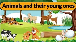 animal babies name| animals name with small one|| animal names|| जानवरो के नाम