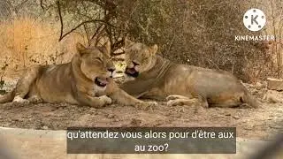 PARC ANIMALIER DE ZINIARE